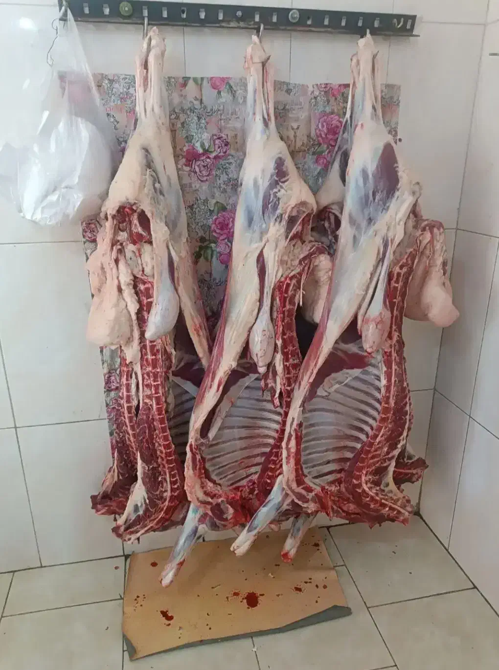 گوشت گوسفند کوهستان مناسب عقیقه و خونه|خوردنی و آشامیدنی|زرند, |دیوار