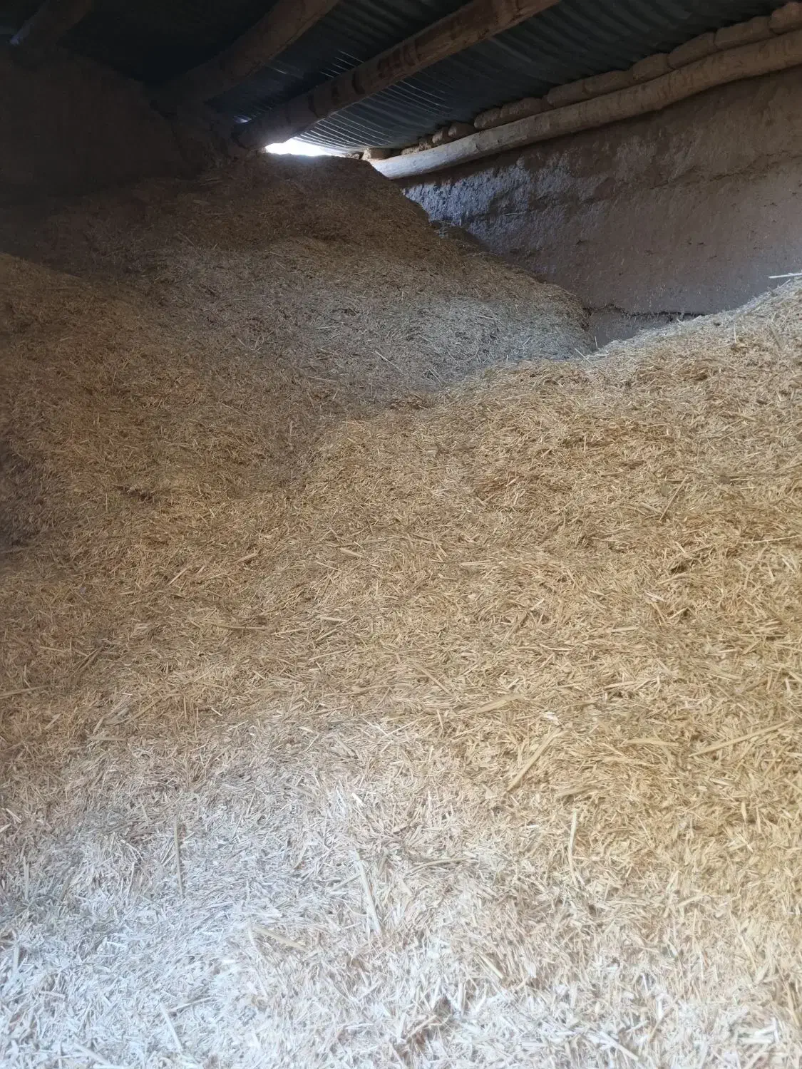 کاه کمباین کوب گندم|حیوانات مزرعه|اسفراین, |دیوار