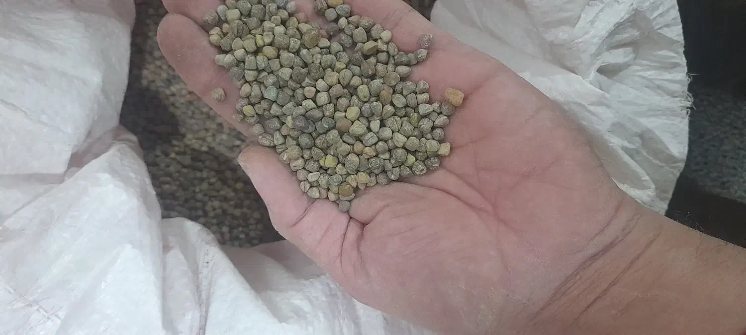 گرگرو  درجه یک|گل و گیاه طبیعی|کوهدشت, |دیوار