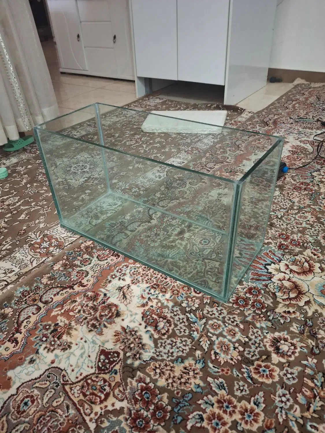 اکواریوم شرکتی شیشه خم و یک عدد شیشه ده میل|ماهی|دزفول, |دیوار