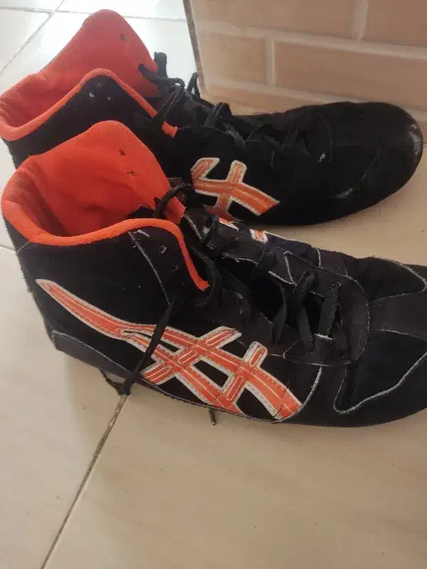 کفش کشتی|کیف، کفش، کمربند|بجنورد, |دیوار