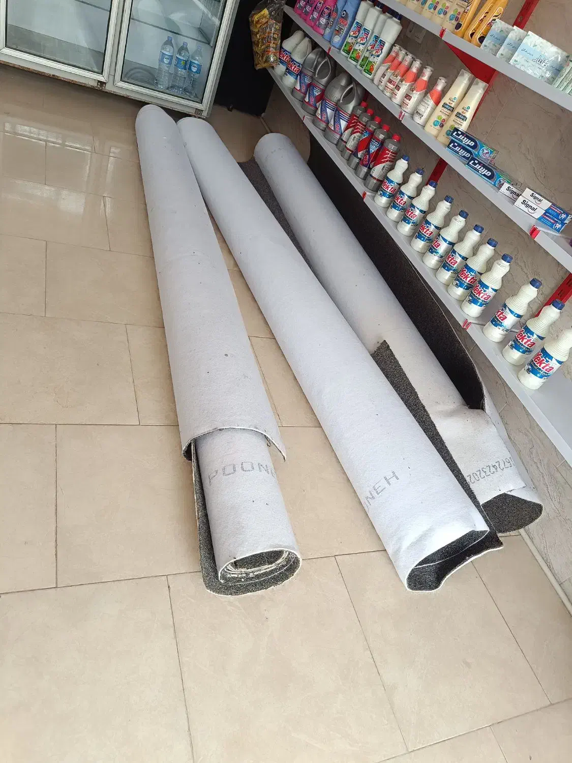 پالاز موکت|موکت|فاضل آباد, |دیوار