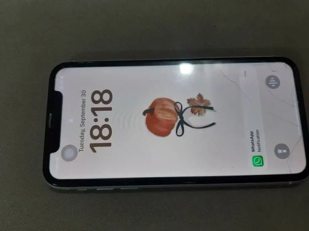 گوشی ایفون ۱۱ نرمال|موبایل|کرمان, |دیوار