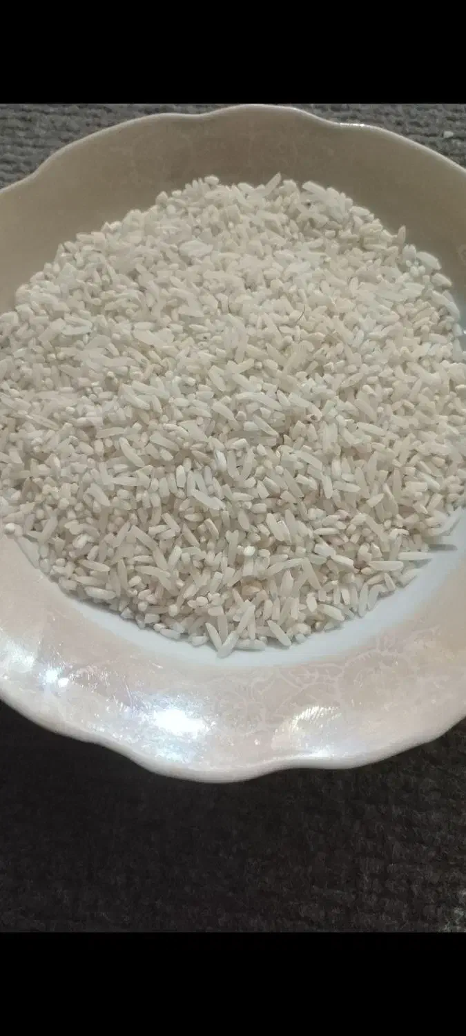 لاشه برنج هاشمی اصل|خوردنی و آشامیدنی|الوند, |دیوار