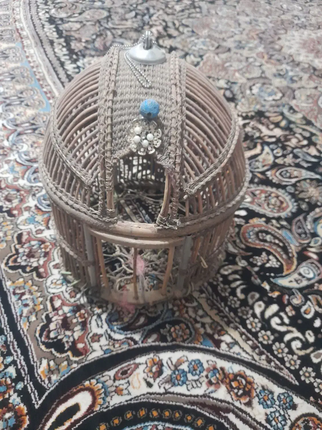 قفس کبک|لوازم جانبی حیوانات|تربتحیدریه, حاجی یار|دیوار