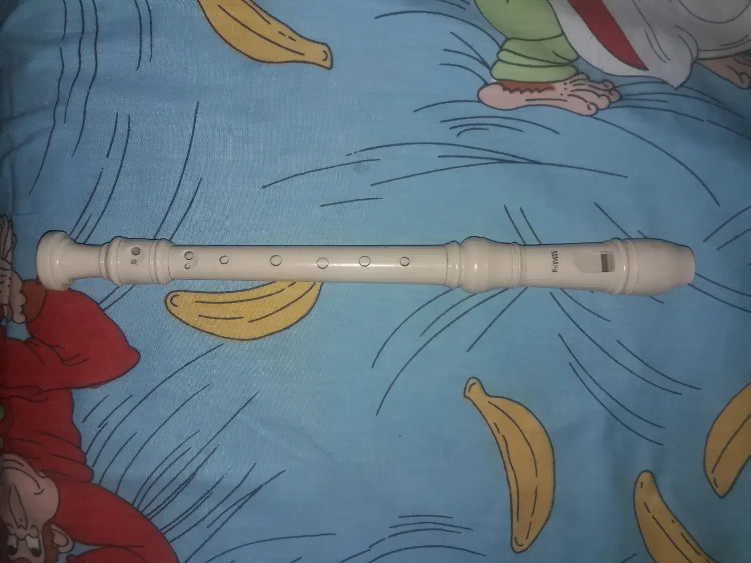 فلوت یاماها|سازهای بادی|رشت, شهرک قدس|دیوار