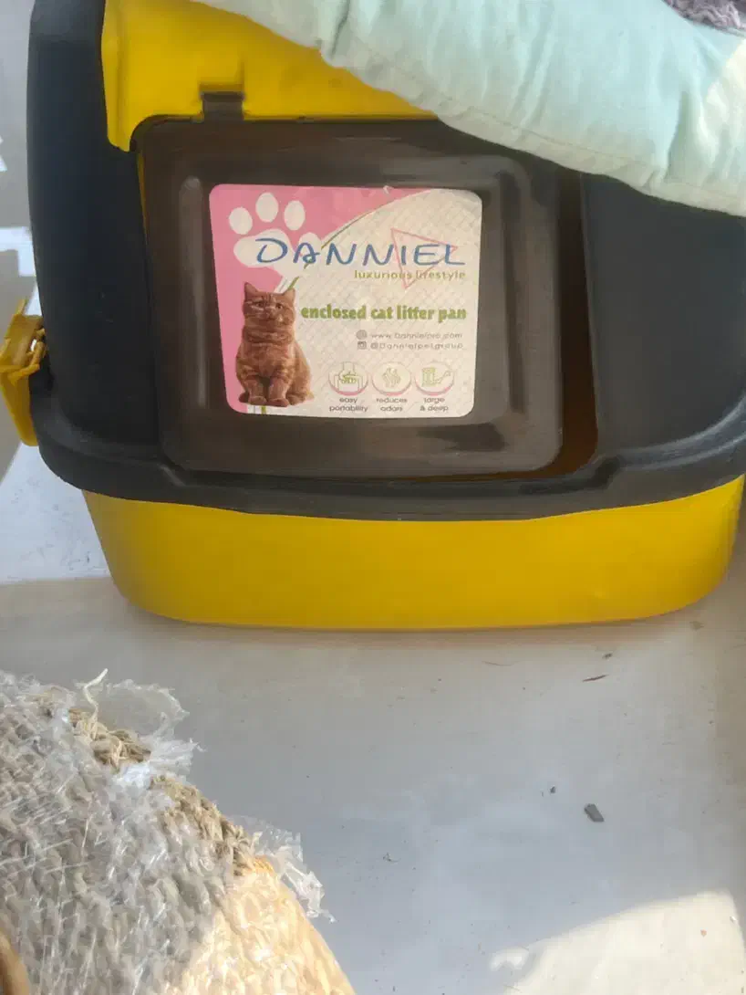 ظرف خاک گربه|گربه|کیش, |دیوار