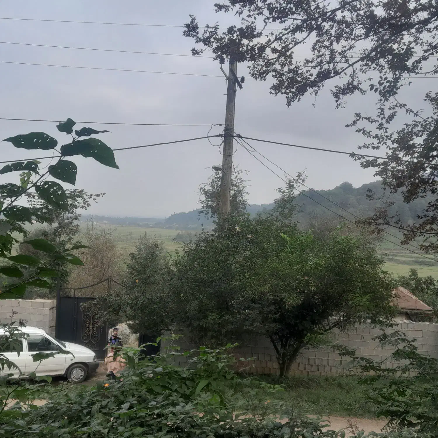 زمین۳۵۰متریمسکونیمستسنیاتدردلجنگلروستای|فروش زمین و ملک کلنگی|ماسال, |دیوار