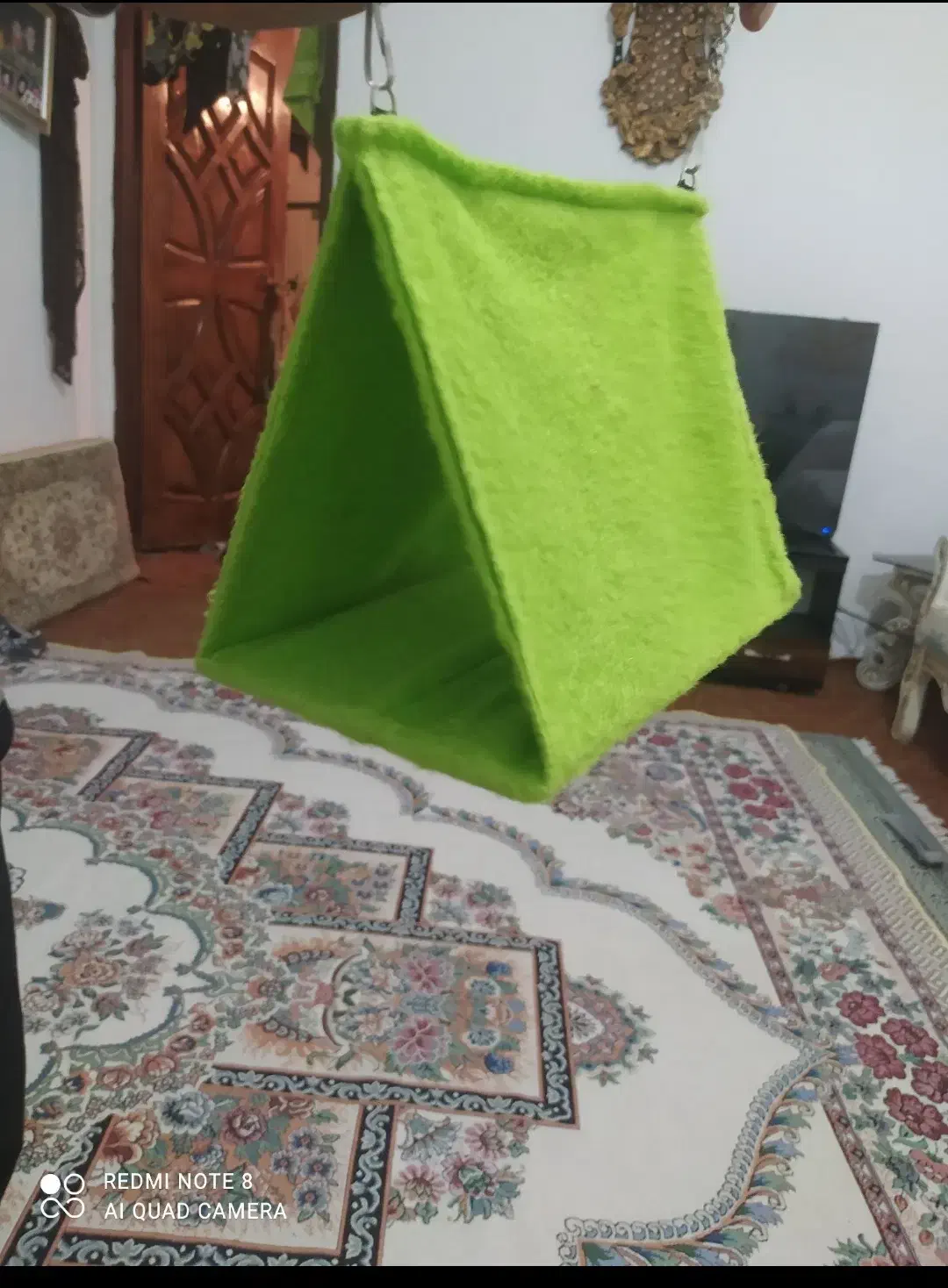 مخفیگاه وهودی پرنده|لوازم جانبی حیوانات|ایلام, |دیوار