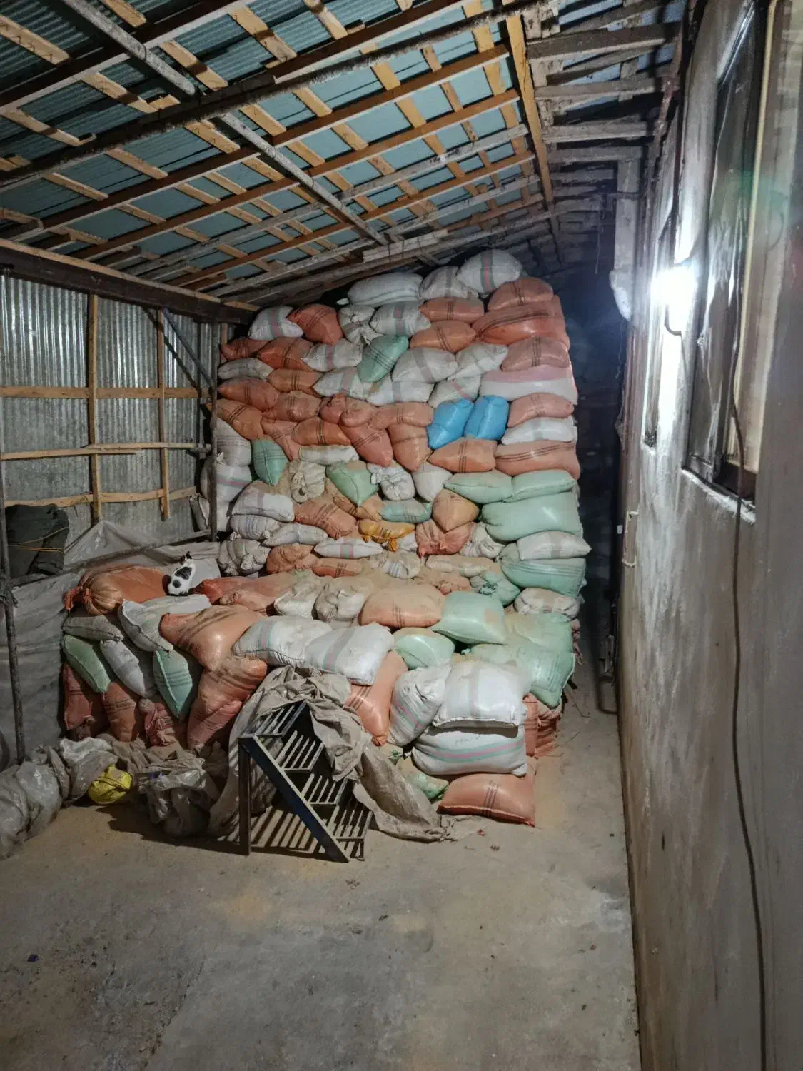 سبوس برنج|عمدهفروشی|رودبنه, |دیوار