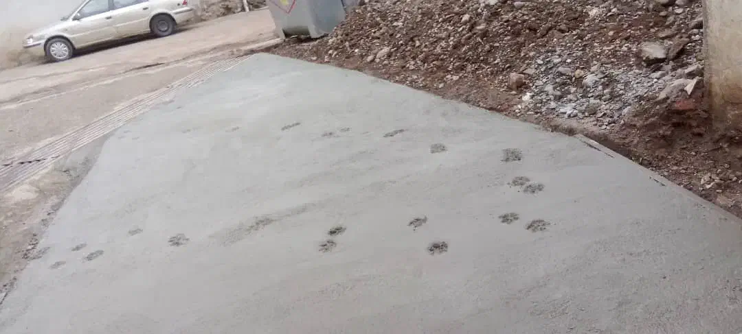 یک قطعه زمین کشاورزی یه مرغداری گوشتی|فروش دفتر صنعتی، کشاورزی، تجاری|فاضل آباد, |دیوار