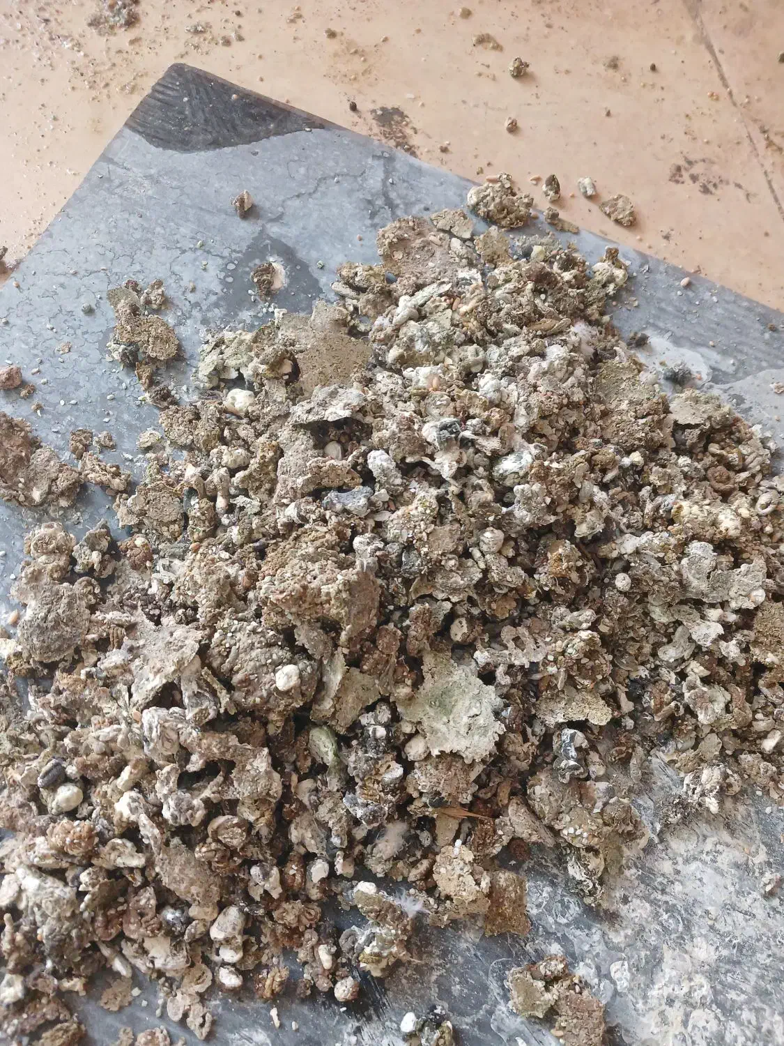 کود کبوتر|حیوانات مزرعه|کوهسار (البرز), |دیوار