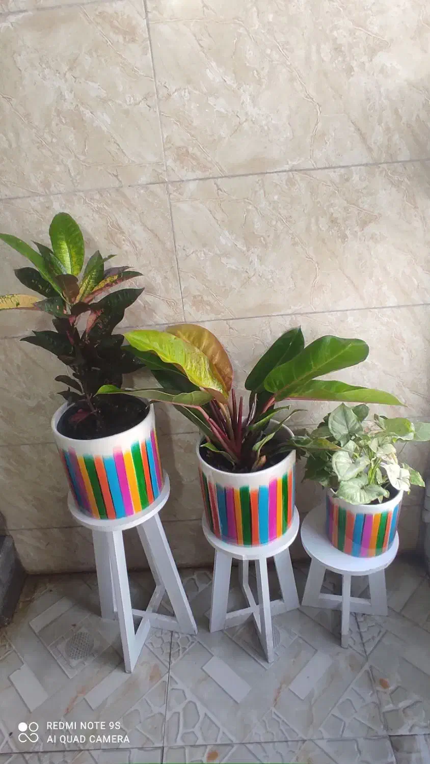 استند و کودهای خارجی|گل مصنوعی|جهرم, |دیوار