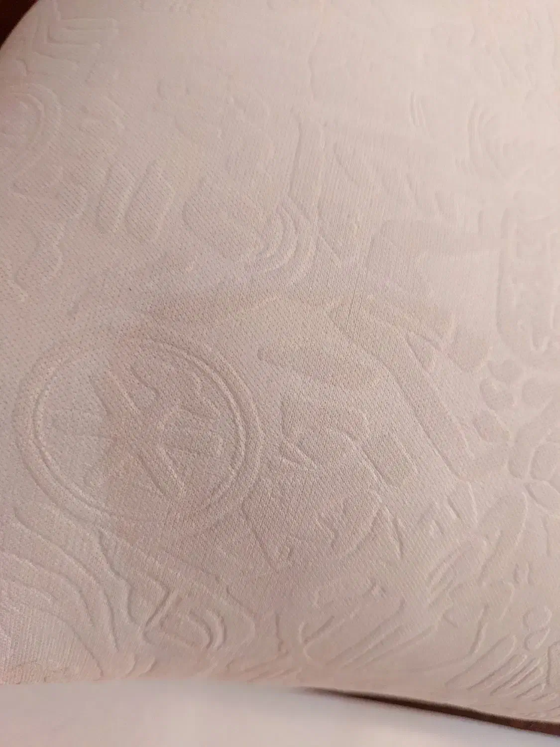 بالشت ترک پر قویی|رختخواب، بالش، پتو|تهران, سازمان آب|دیوار