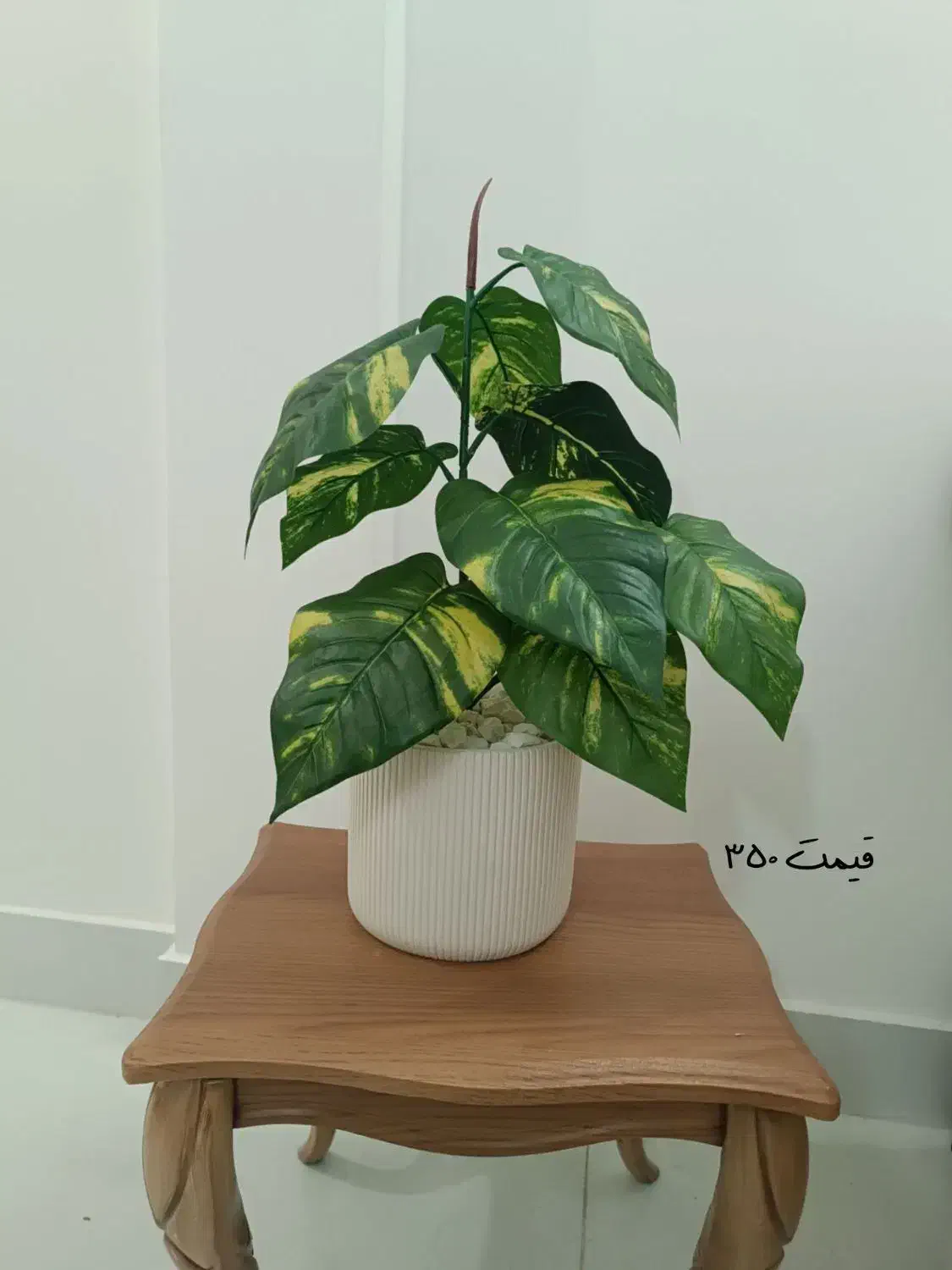 گل مصنوعی|گل مصنوعی|مشهد, رستگار|دیوار