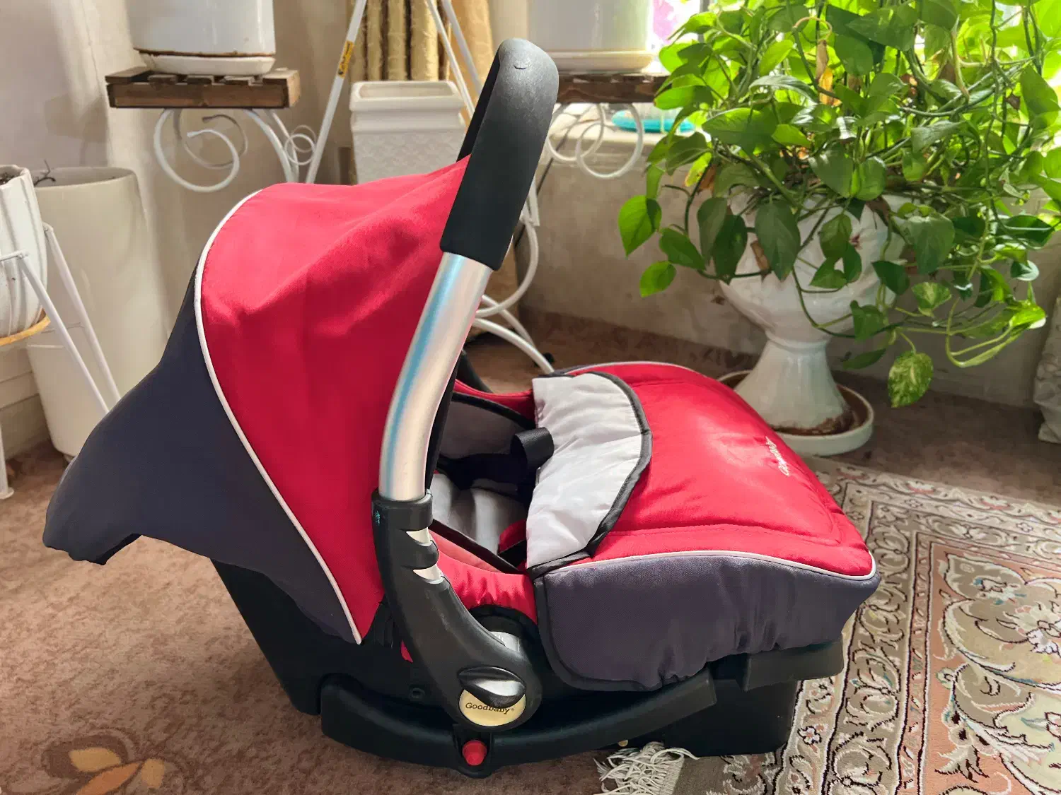 کریر|کالسکه و لوازم جانبی|شیراز, شاه قلی بیگی|دیوار