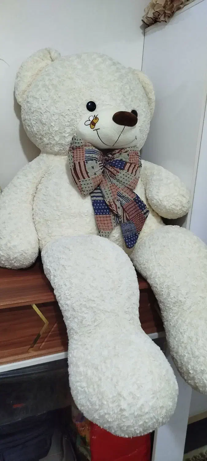 عروسک|اسباب‌بازی بچه|همدان, |دیوار