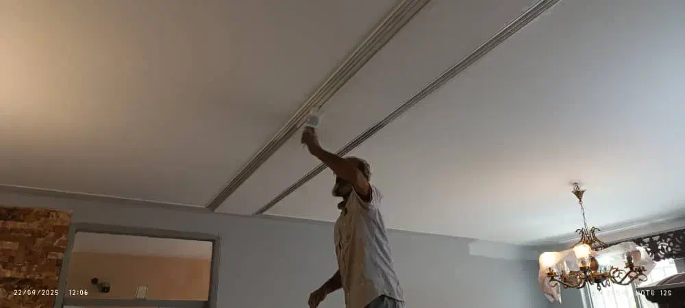 نقاشی ساختمان با ضمانت|خدمات پیشه و مهارت|هشتگرد, شهرک بعثت|دیوار