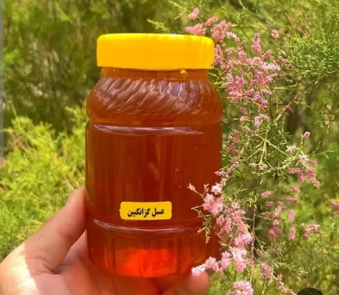 عسل کنار درجه یک|خوردنی و آشامیدنی|اهواز, پادادشهر|دیوار