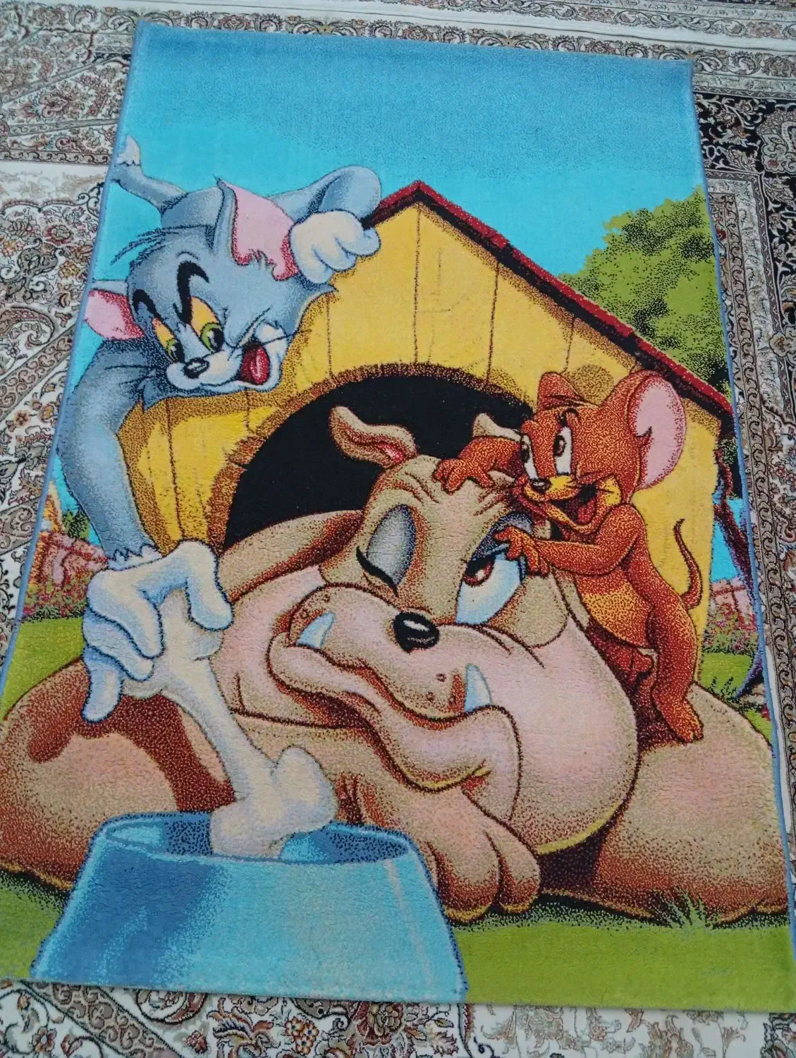 فرش|فرش|فردیس, شهرک ارم|دیوار