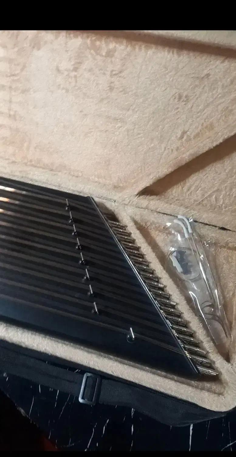 سنتور|سازهای سنتی|تهران, فلسطین (میدان انقلاب)|دیوار