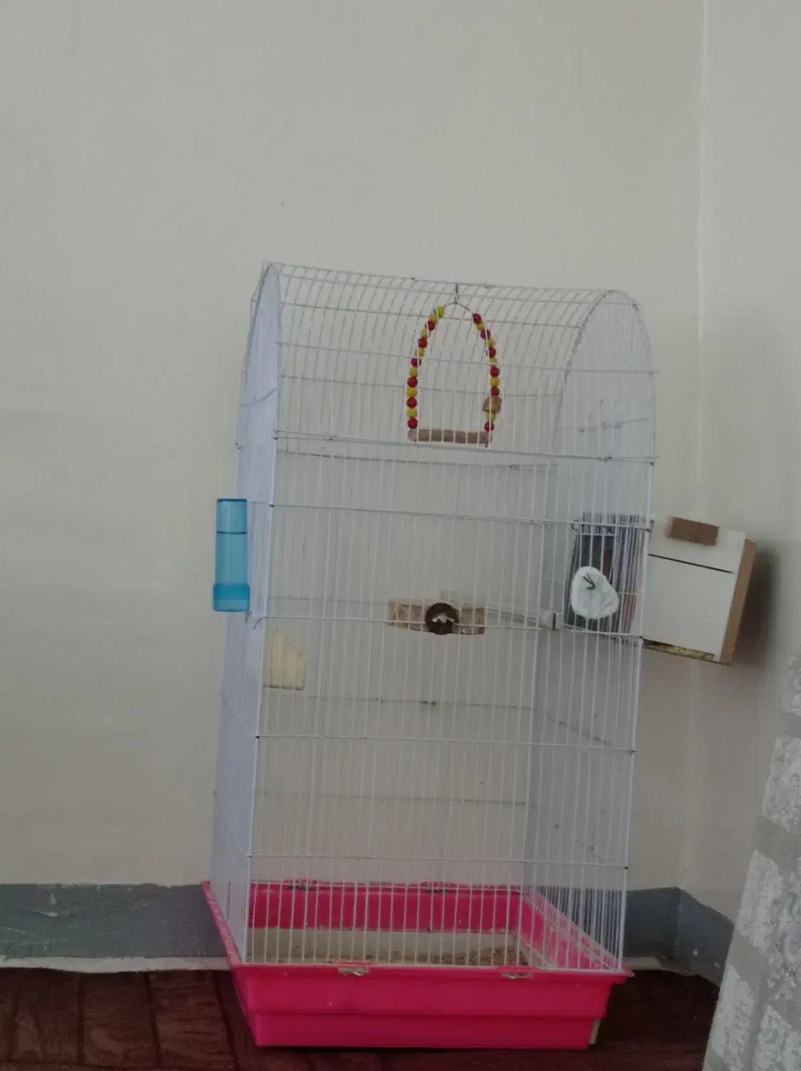 قفس|لوازم جانبی حیوانات|کرج, خرمدشت|دیوار