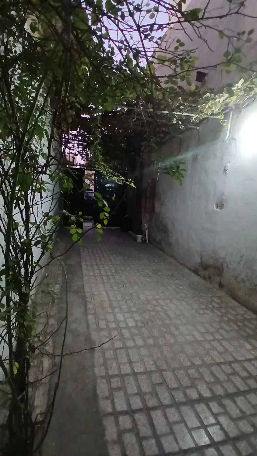 آپارتمان ۱۰۰ متر طبقه همکف توس ۸۵|اجارهٔ آپارتمان|مشهد, شهرک مطهری|دیوار