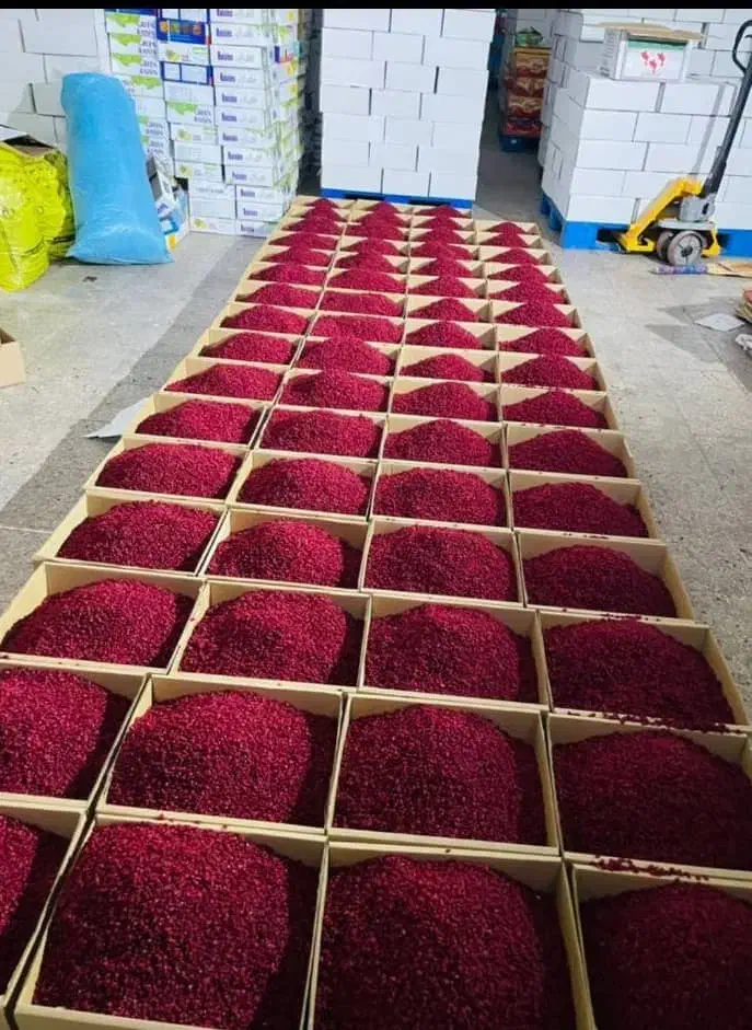 زرشک امسالی (پخش عمده)|عمده‌فروشی|قائن, |دیوار