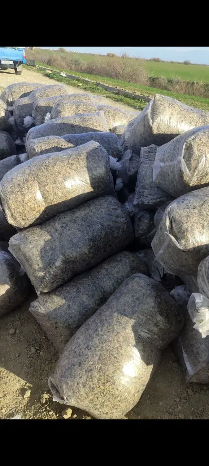 ذرت علوفه|لوازم جانبی حیوانات|سیمین شهر, |دیوار