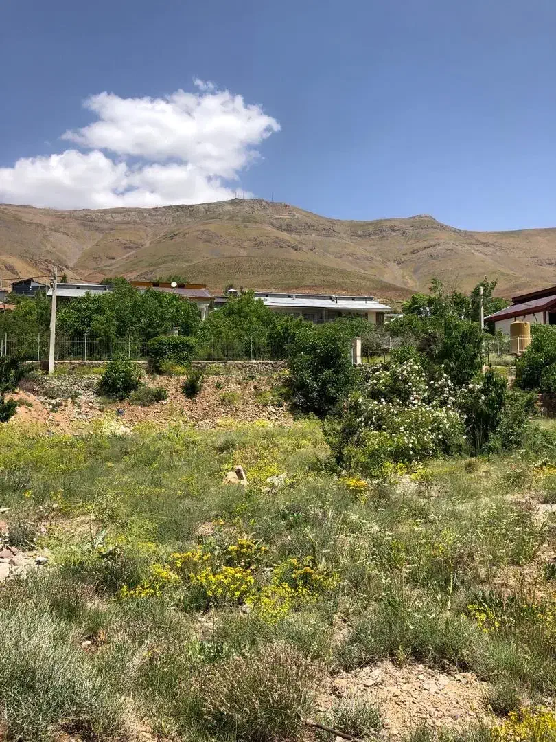 ۱۳۴۰ متر زمین ویلایی با سند تکبرگ|فروش زمین و ملک کلنگی|آبعلی, |دیوار