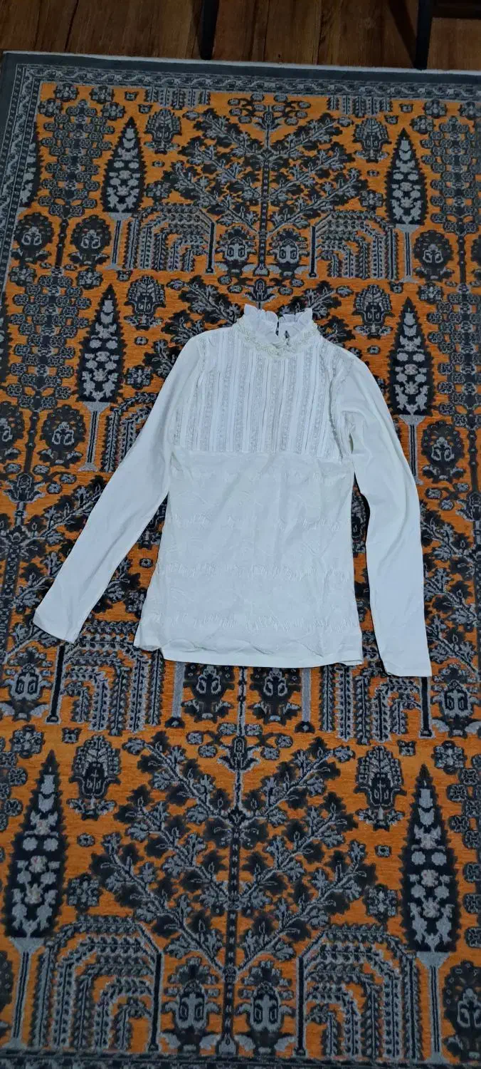 بلوز مجلسی|لباس|شاهین‌شهر, عطار|دیوار