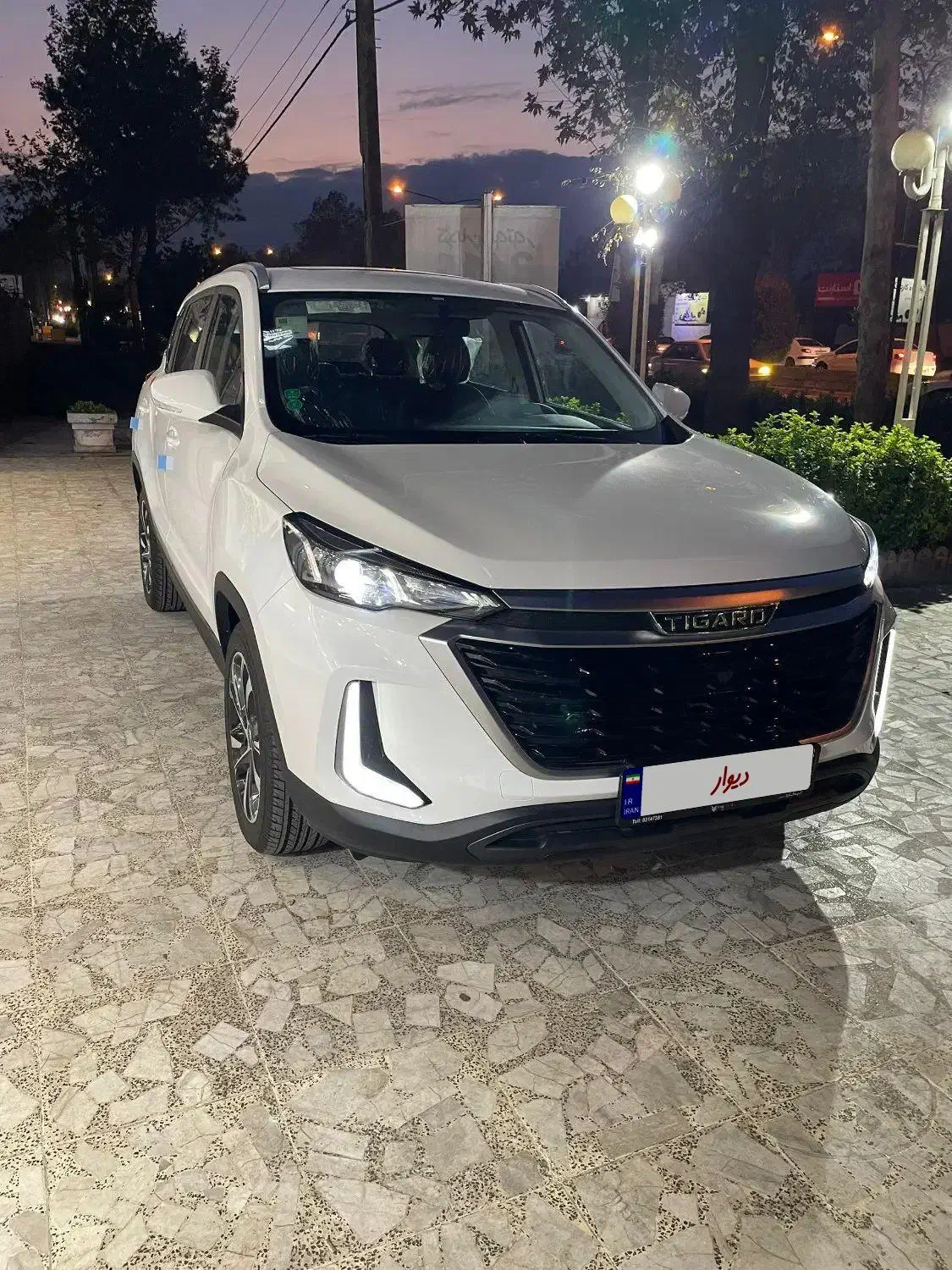 تیگارد|خودرو سواری و وانت|رشت, فرودگاه سردار جنگل رشت|دیوار