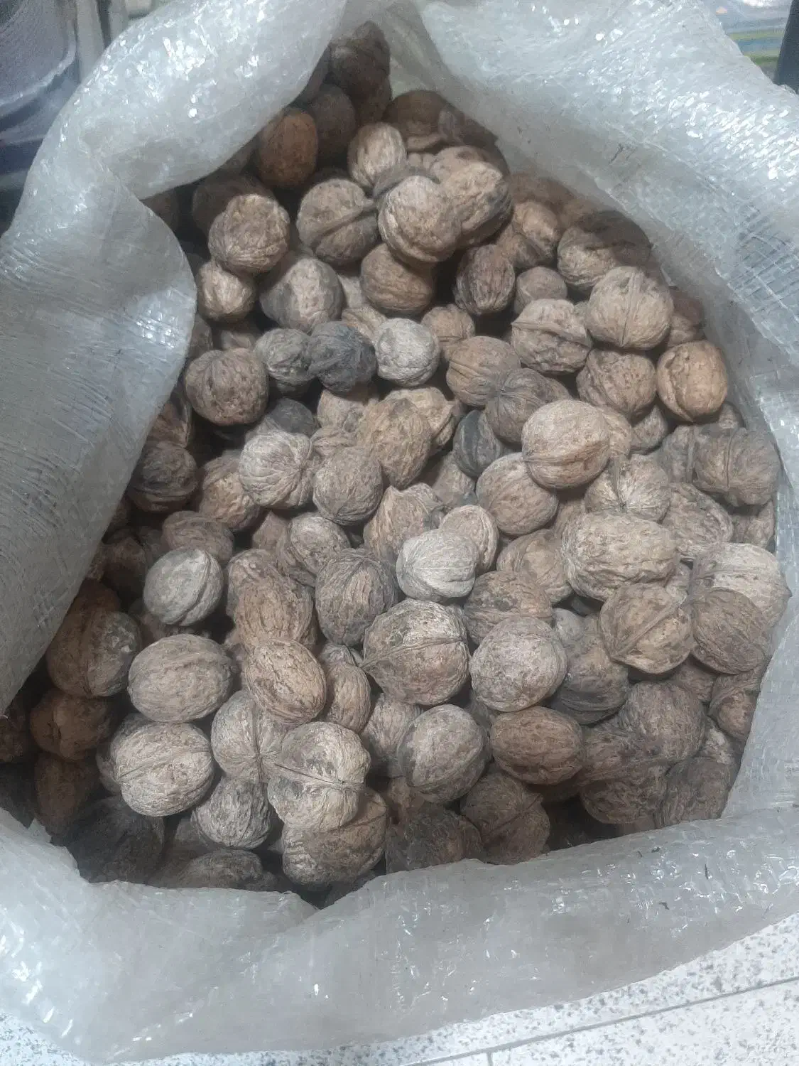 گردو ایرانی|خوردنی و آشامیدنی|مشهد, مقدم|دیوار