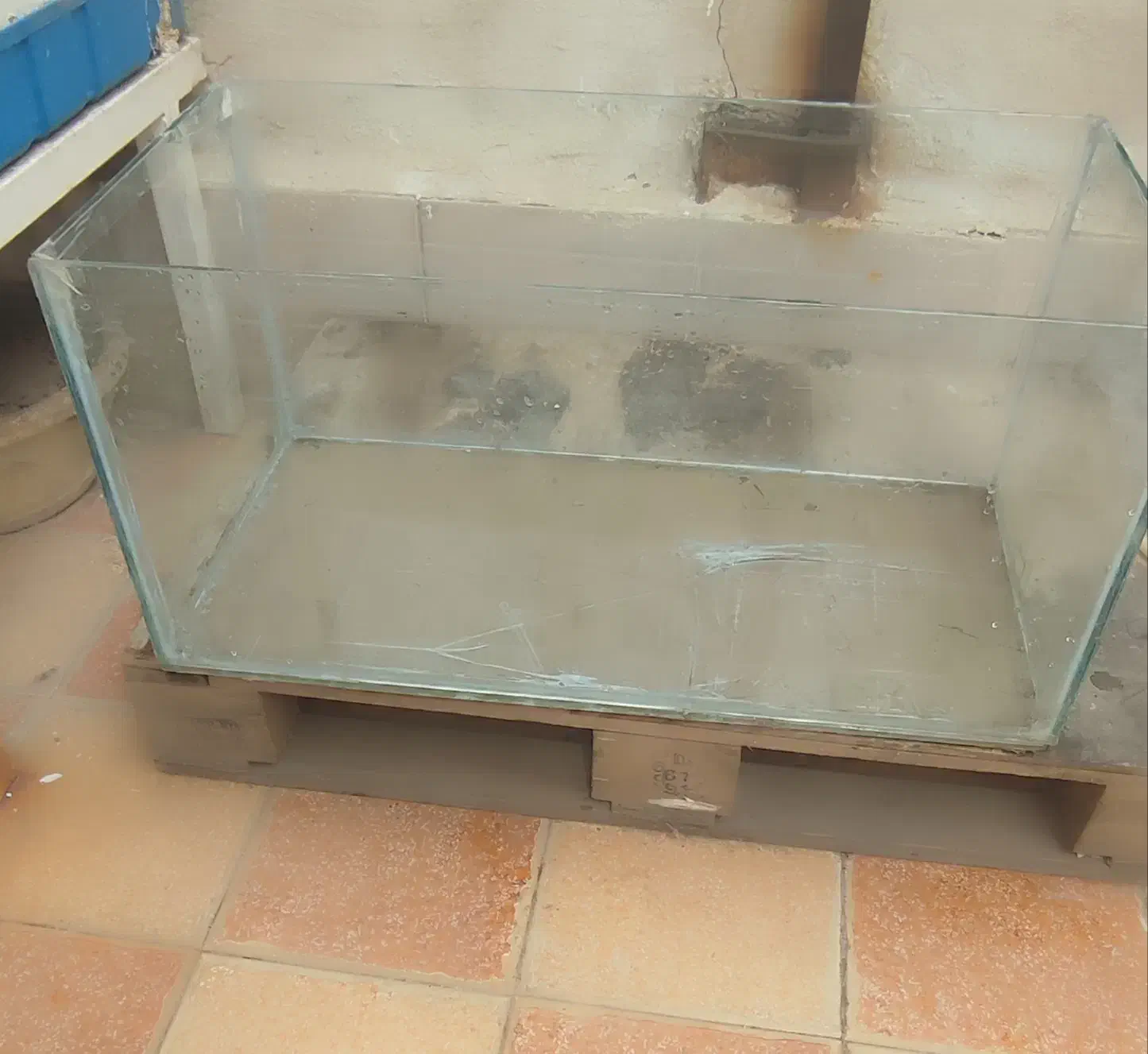 شیشه آکواریوم|ماهی|کاشان, سه راه پرورشگاه|دیوار