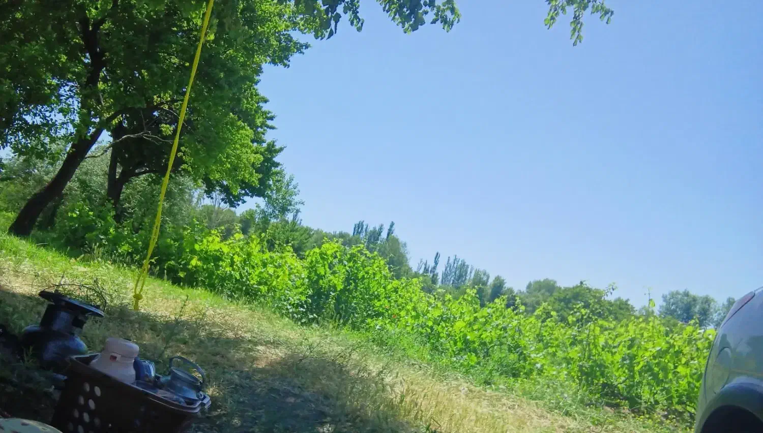 معاوضه باغ باویلا وآپارتمان|فروش دفتر صنعتی، کشاورزی، تجاری|مشگین شهر, |دیوار