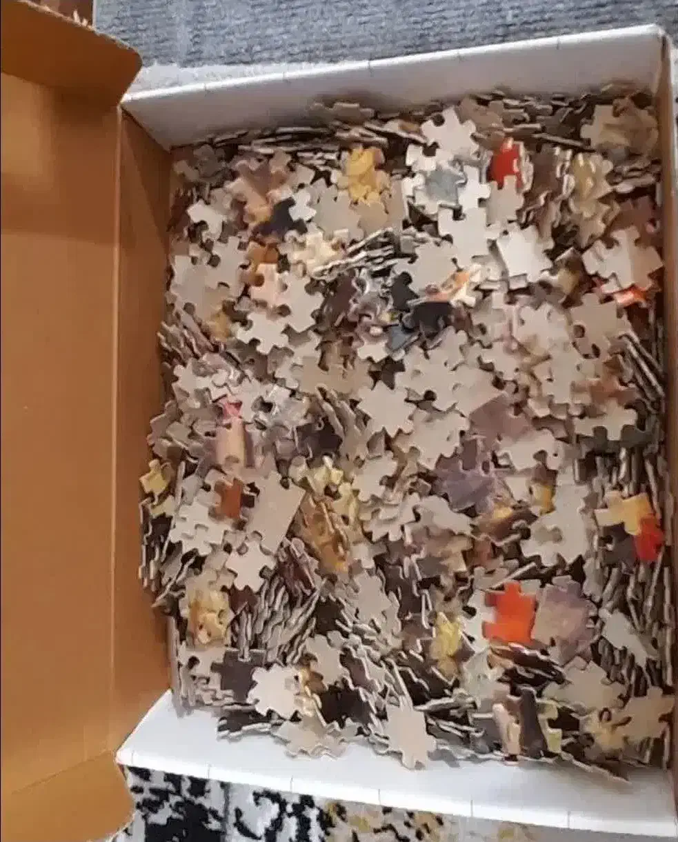 پازل نو|اسباببازی|پرند, فاز ۶|دیوار