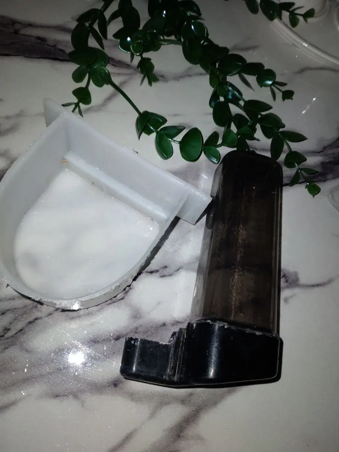 ظرف غذا و آبخوری پرنده. ابخوری عروس هلندی|لوازم جانبی حیوانات|فاضل آباد, |دیوار