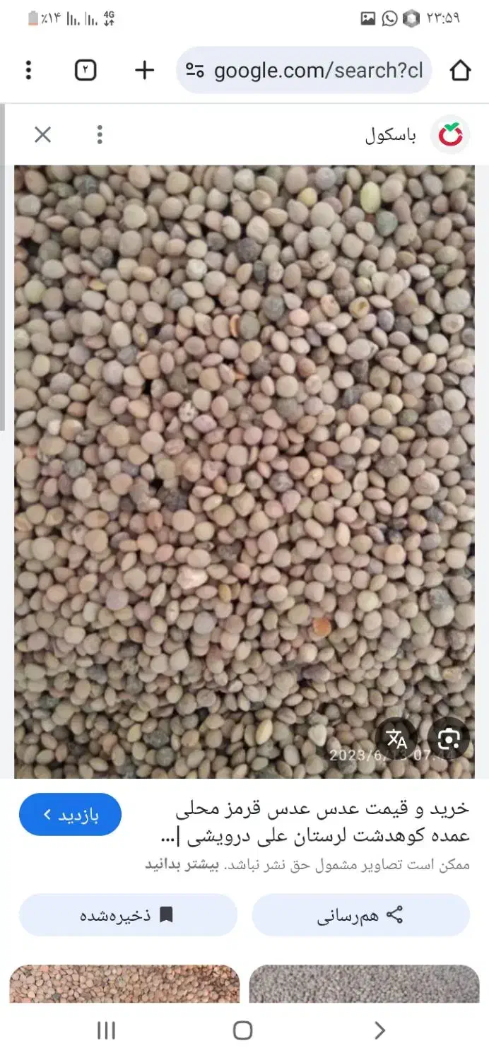 عدس قرمز|خوردنی و آشامیدنی|سنقر, |دیوار