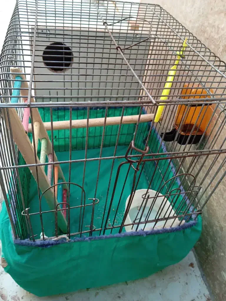 قفس پرنده|لوازم جانبی حیوانات|بندر ماهشهر, |دیوار