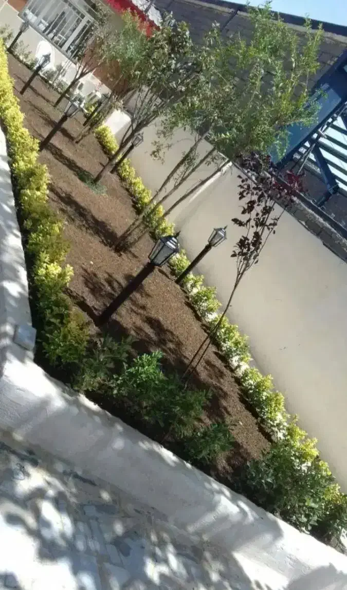 خدمات کلیه باغبانی باغچه کاری گلکاری هرس کاری|خدمات باغبانی و درختکاری|اسلامشهر, مظفریه|دیوار