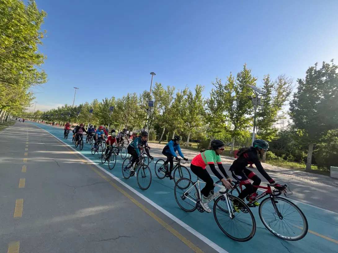 آموزش اصولی دوچرخه سواری با مربی رسمی فدراسیون|خدمات آموزشی|تهران, سید خندان (جلفا)|دیوار