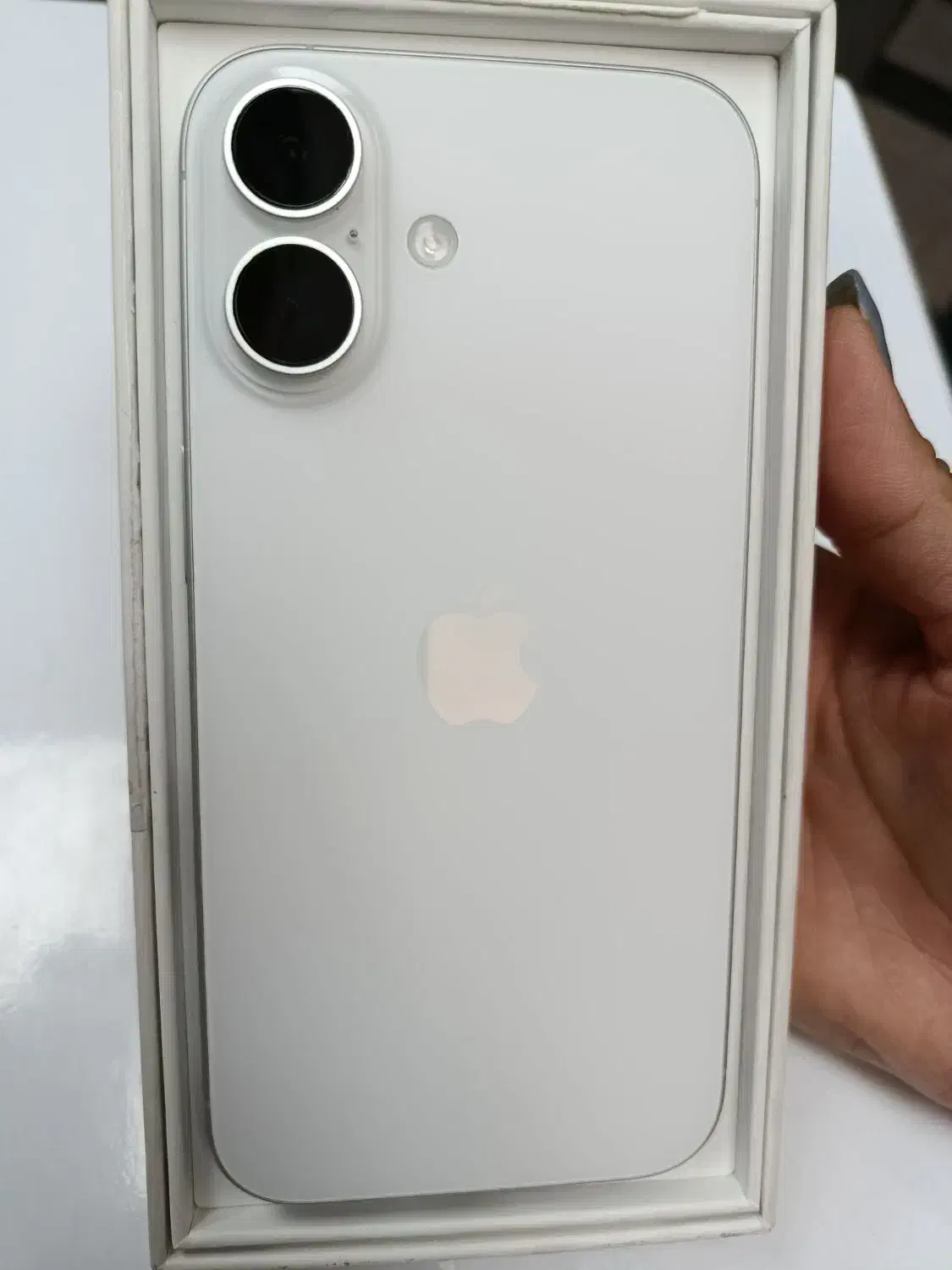 iphone 16Normal|موبایل|شیراز, عفیفآباد|دیوار