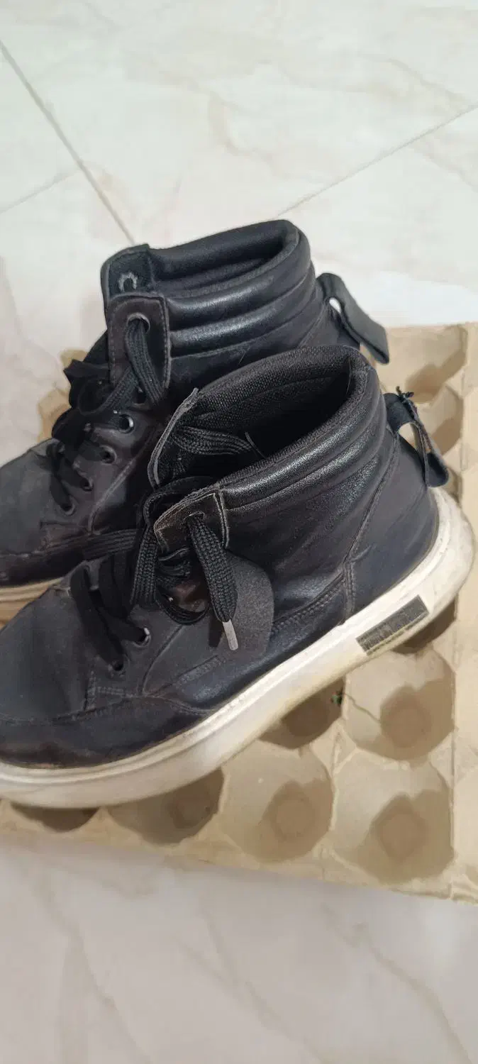 کفش سایز ۳۷|کیف، کفش، کمربند|پرند, فاز ۵|دیوار