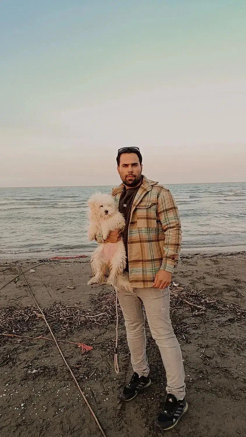 شیتزو سفید خونگی|سگ|گرمدره, |دیوار