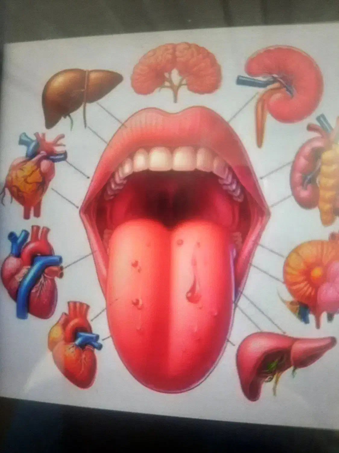 آموزش رایگان و درآمد عالی|خدمات آموزشی|آبادان, |دیوار