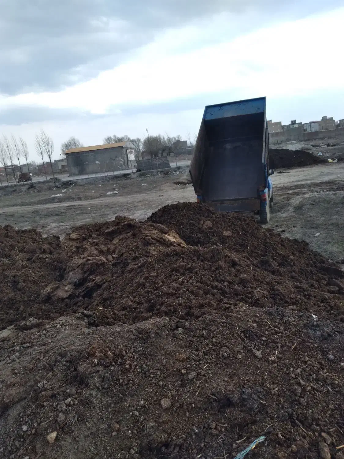 کود حیوانی|خدمات باغبانی و درختکاری|اردبیل, |دیوار