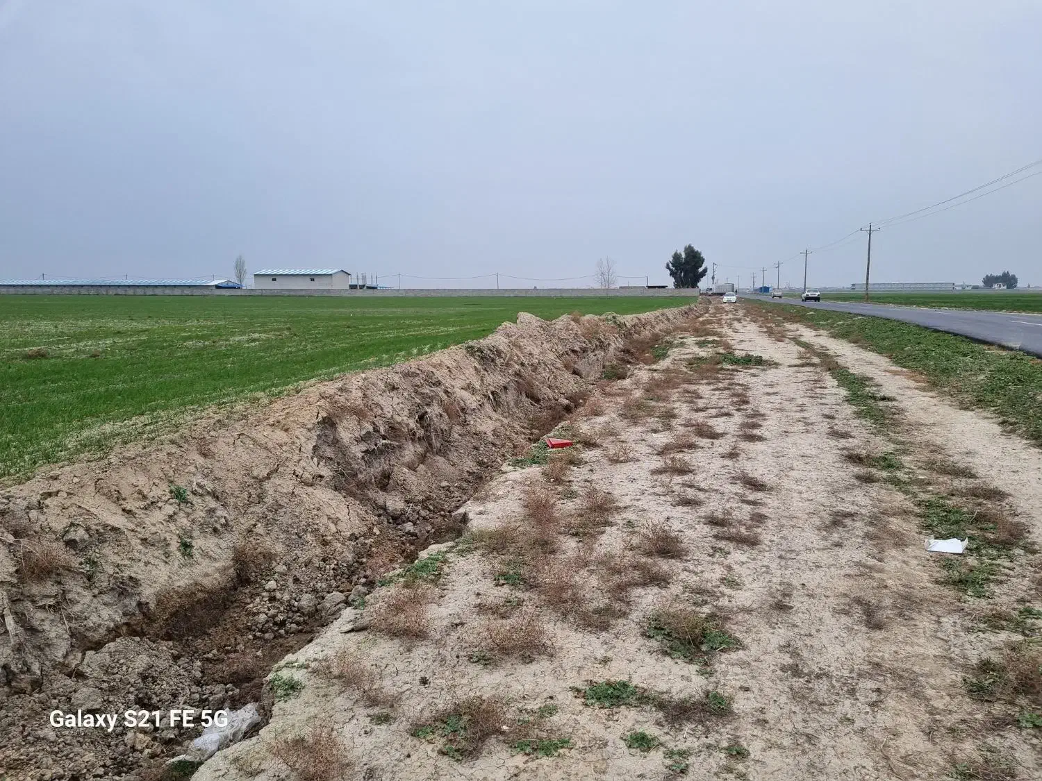 ۱/۵هکتار زمین زراعی پشت قره قاشلی|فروش زمین و ملک کلنگی|سیجوال, |دیوار