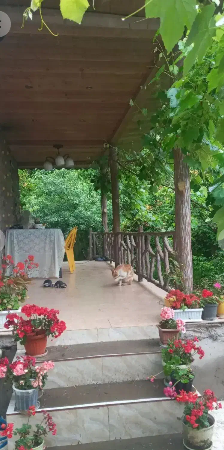 ویلایی ۱۵۰۰ متری۱۲۰ متر بنا (دنج،ویو جنگلی و شالی)|فروش خانه و ویلا|خمام, |دیوار