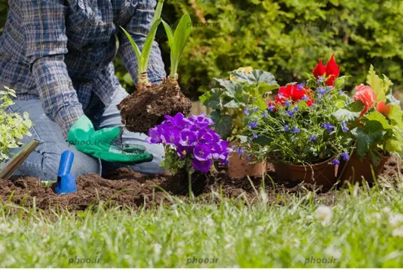 کلیه خدمات باغبانی هرس سمپاشی وبیل زنی|خدمات باغبانی و درختکاری|کرج, گلشهر|دیوار