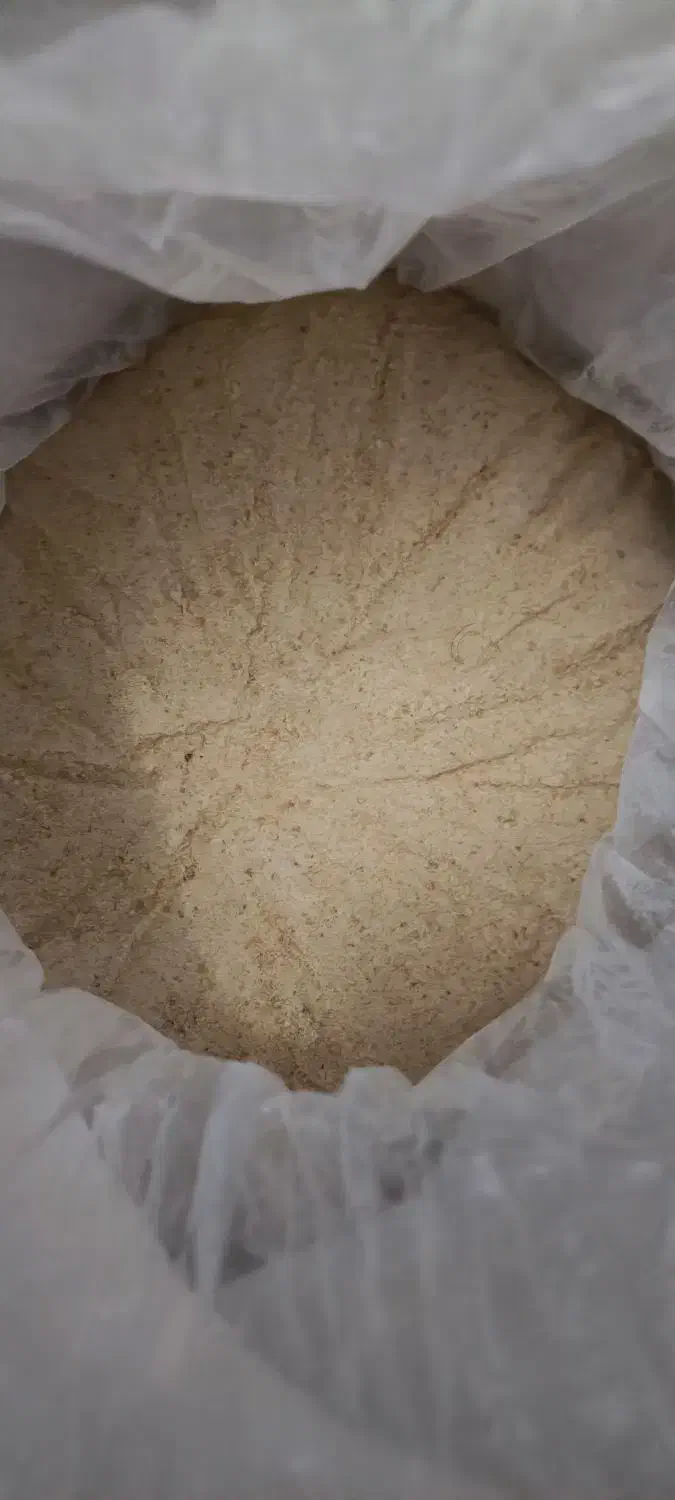 قناری، فنج، عروس، کوتوله، مرغ عشق|لوازم جانبی حیوانات|آران و بیدگل, |دیوار